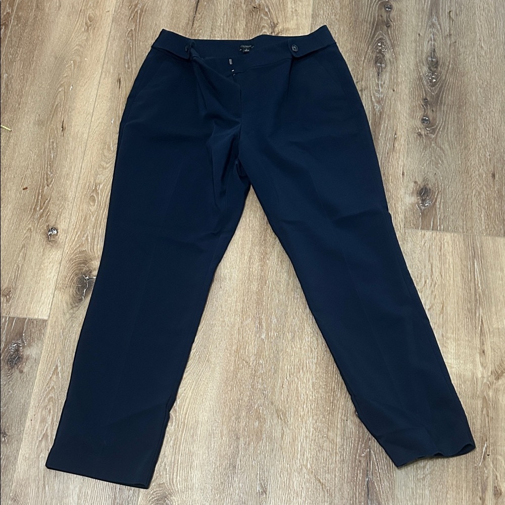 Ann Taylor Woman’s Navy Dress Pants